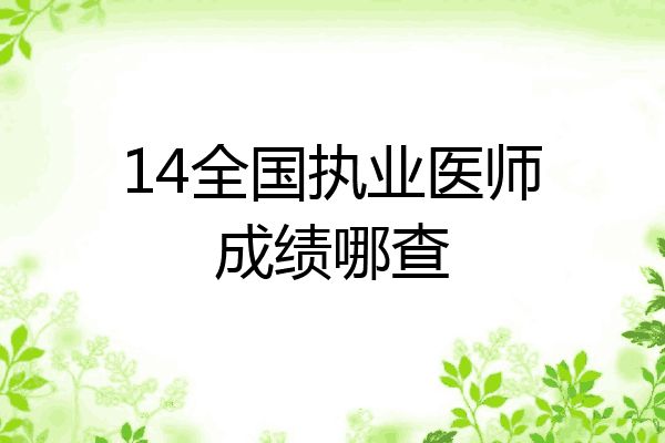 14全国执业医师成绩哪查