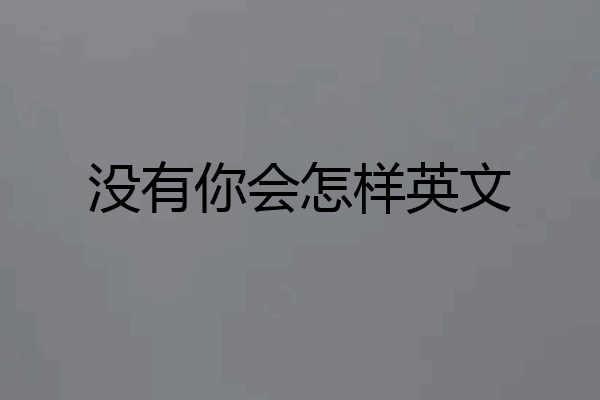 没有你会怎样英文