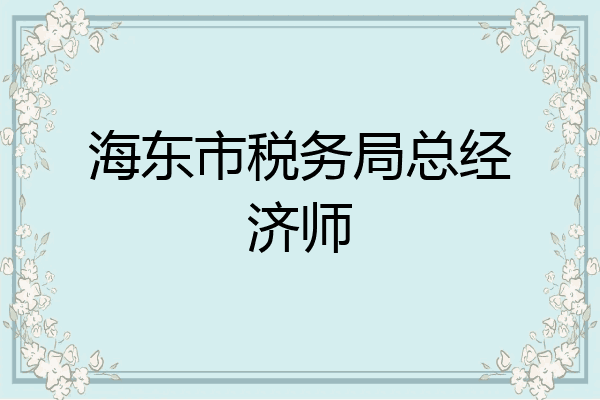 海东市税务局总经济师