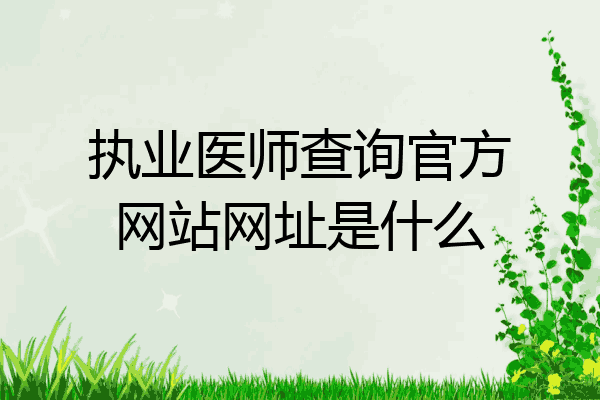 执业医师查询官方网站网址是什么