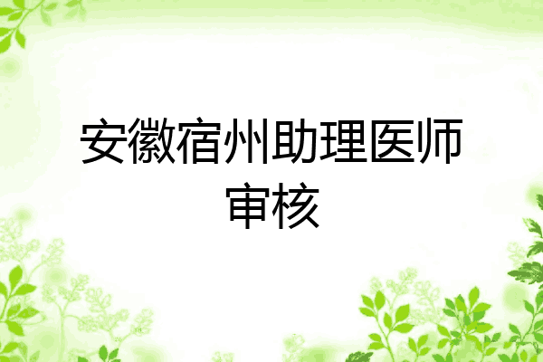 安徽宿州助理医师审核