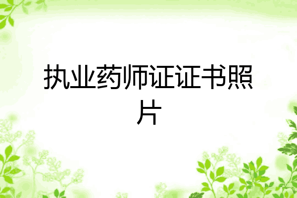 执业药师证证书照片