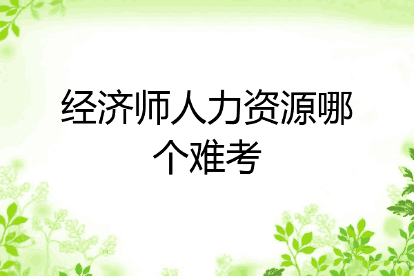 经济师人力资源哪个难考