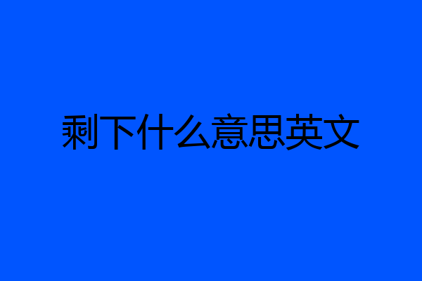 剩下什么意思英文