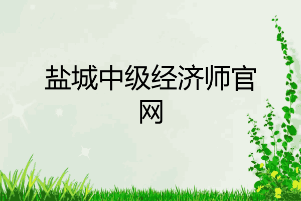 盐城中级经济师官网