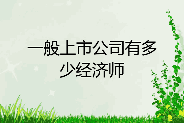 一般上市公司有多少经济师