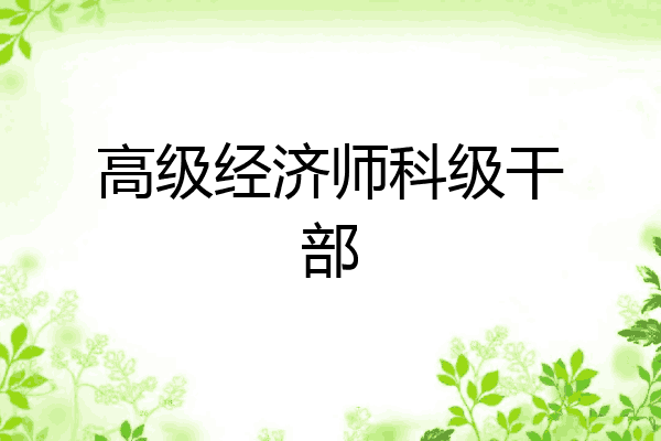 高级经济师科级干部