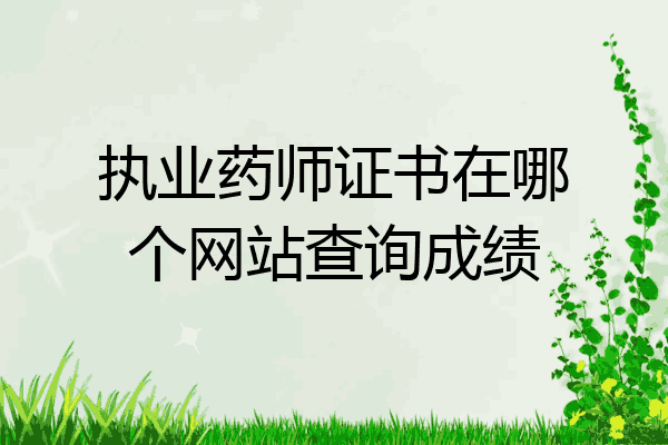 执业药师证书在哪个网站查询成绩