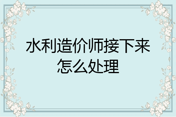 水利造价师接下来怎么处理