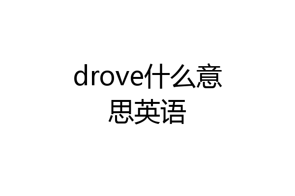 drove什么意思英语