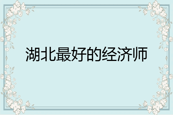 湖北最好的经济师
