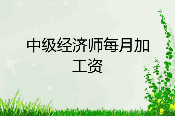 中级经济师每月加工资