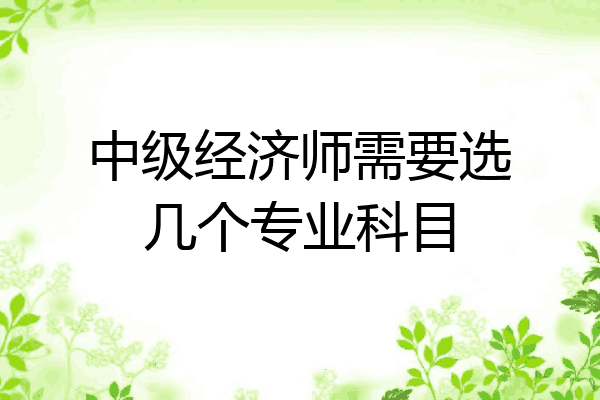 中级经济师需要选几个专业科目
