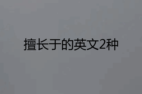 擅长于的英文2种