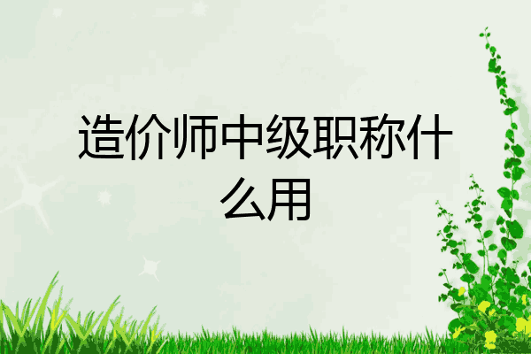 造价师中级职称什么用