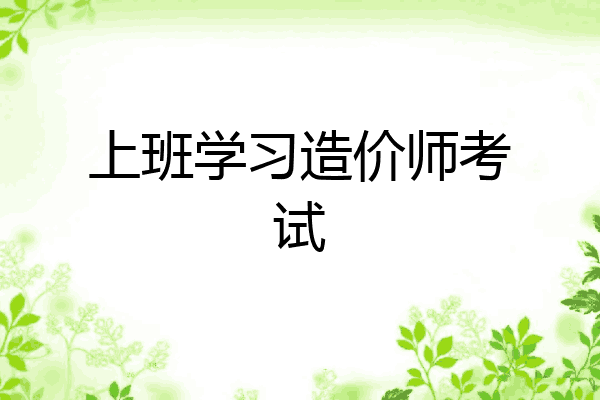 上班学习造价师考试