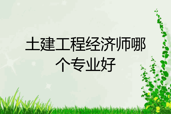 土建工程经济师哪个专业好