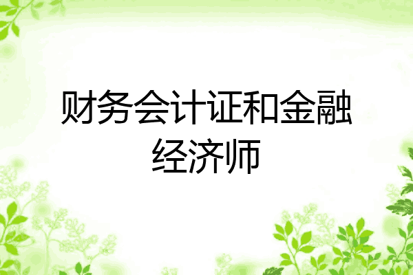 财务会计证和金融经济师