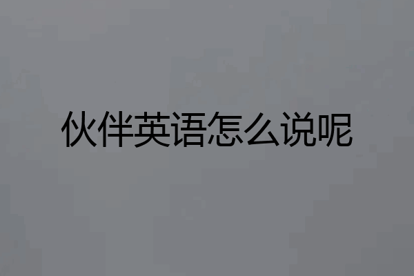 伙伴英语怎么说呢