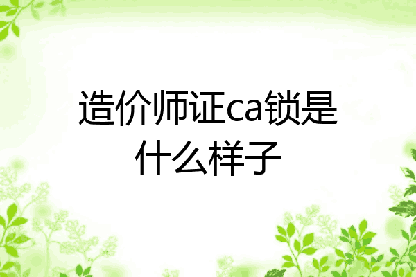 造价师证ca锁是什么样子