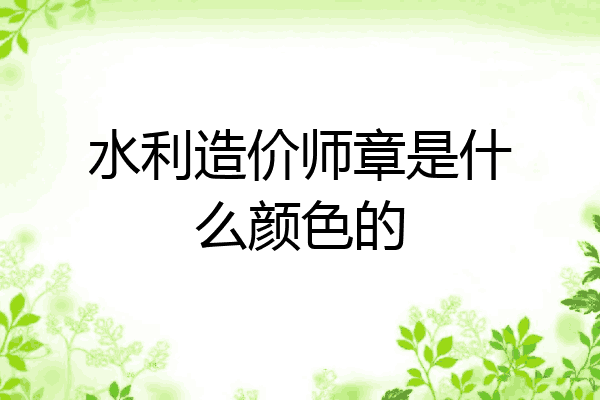 水利造价师章是什么颜色的