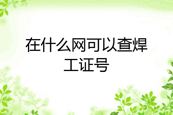 在什么网可以查焊工证号