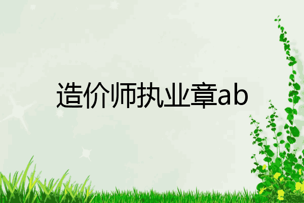 造价师执业章ab
