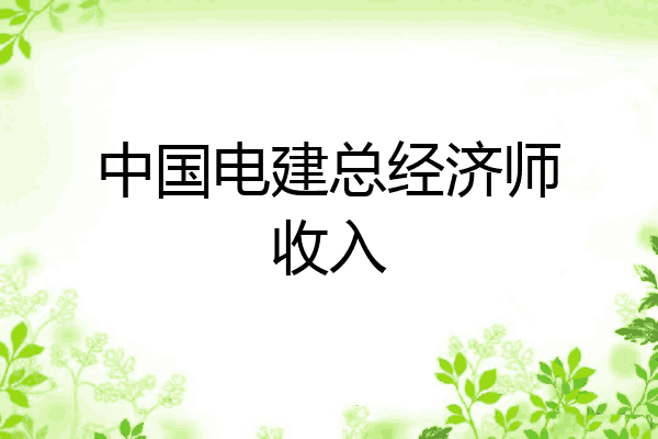 中国电建总经济师收入