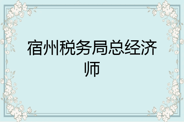 宿州税务局总经济师