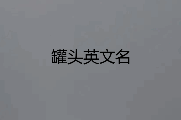 罐头英文名