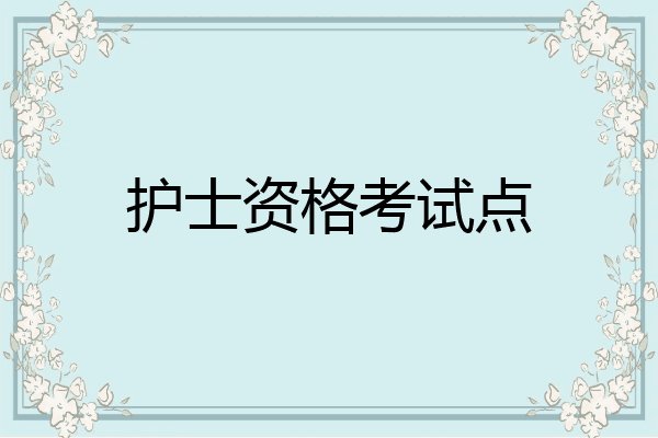 护士资格考试点