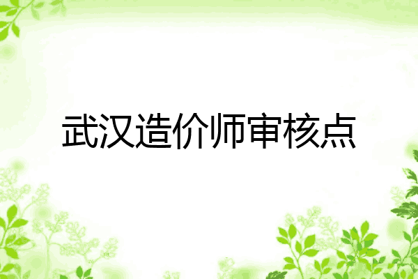 武汉造价师审核点