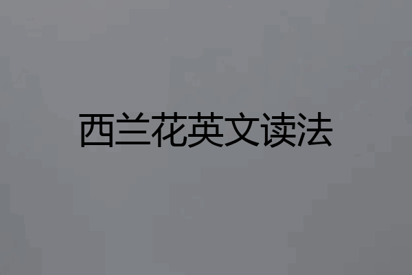 西兰花英文读法