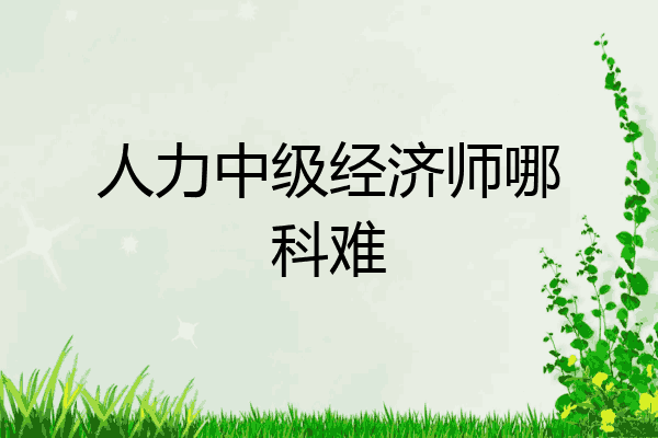 人力中级经济师哪科难