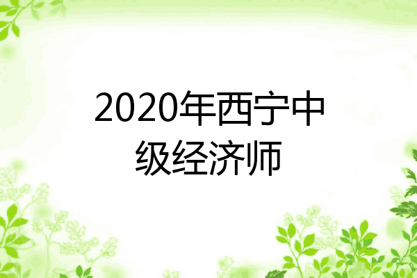 2020年西宁中级经济师