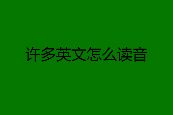 许多英文怎么读音