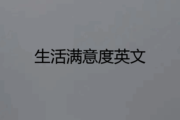 生活满意度英文