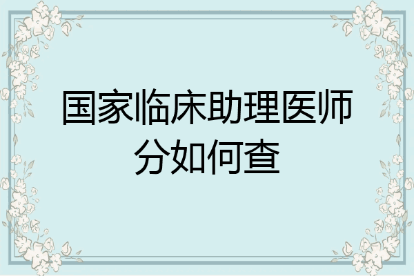 国家临床助理医师分如何查