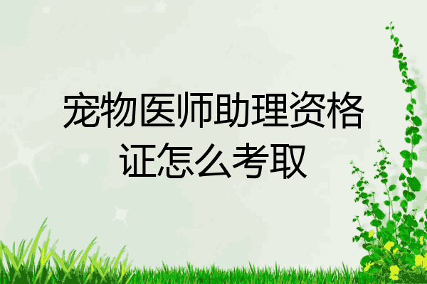 宠物医师助理资格证怎么考取