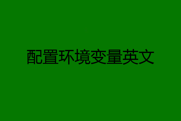 配置环境变量英文