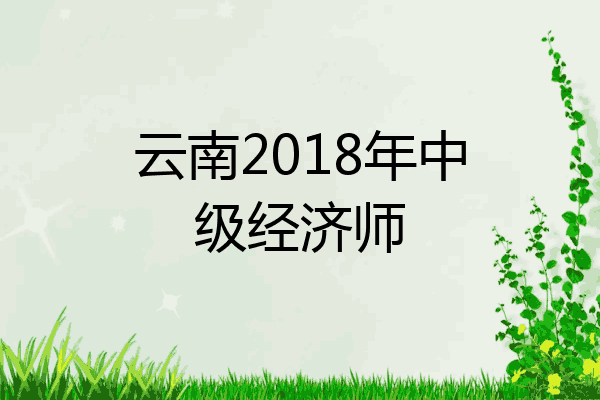 云南2018年中级经济师