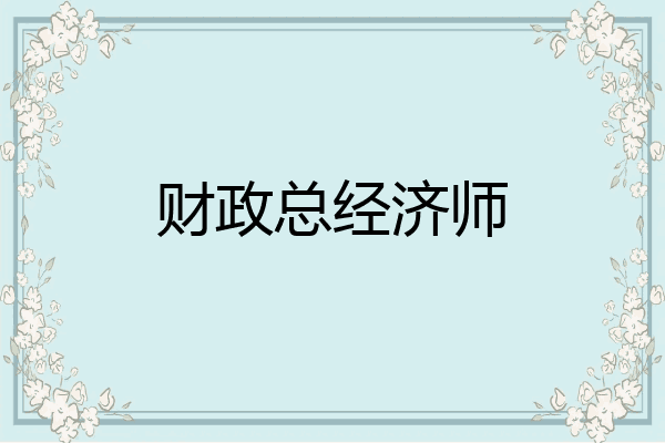 财政总经济师