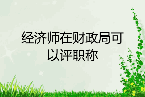 经济师在财政局可以评职称