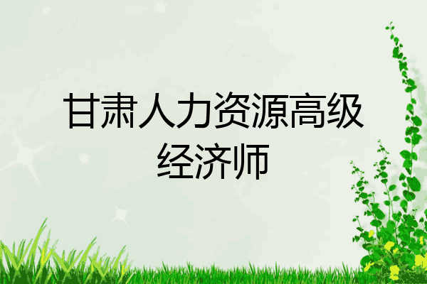 甘肃人力资源高级经济师