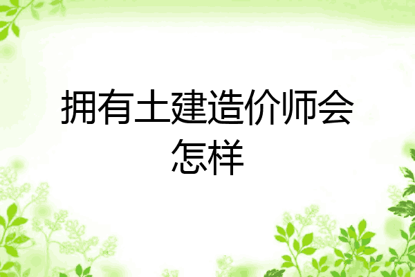 拥有土建造价师会怎样