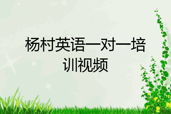 杨村英语一对一培训视频