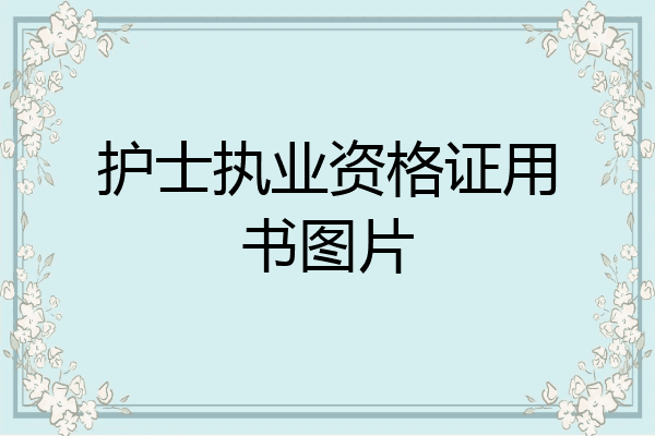护士执业资格证用书图片