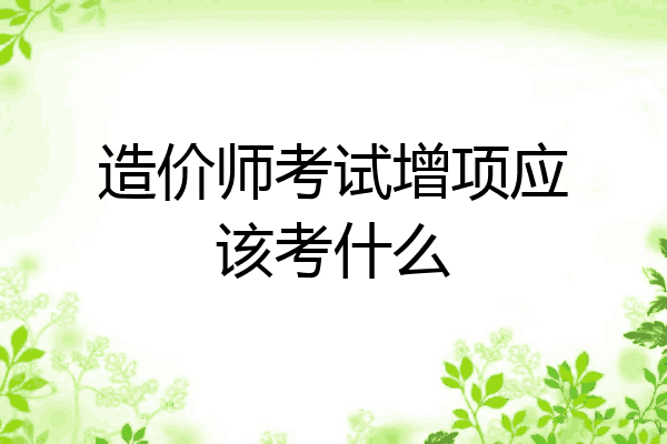 造价师考试增项应该考什么