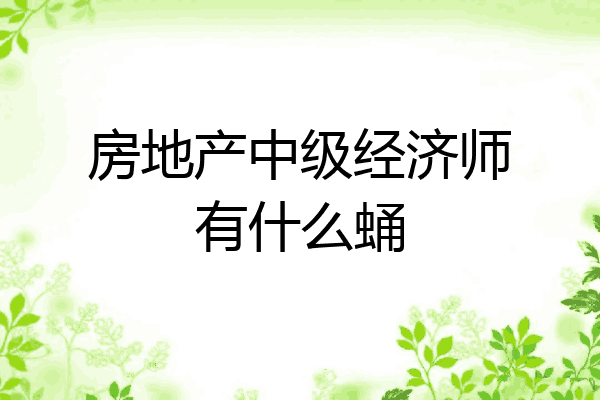 房地产中级经济师有什么蛹