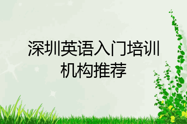 深圳英语入门培训机构推荐
